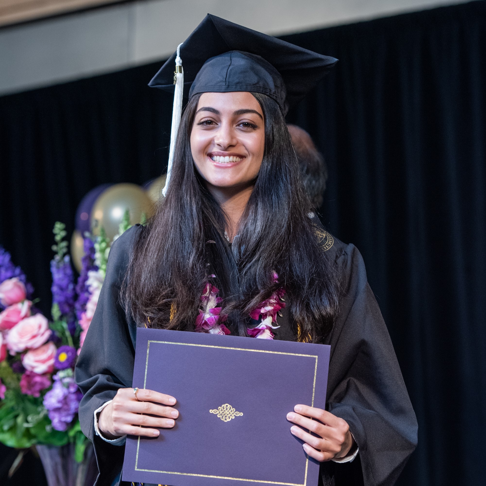 University Of Washington Phd Application Max Letters Of Rec